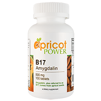 Apricot Power B17/Amygdalin 500mg Tablets